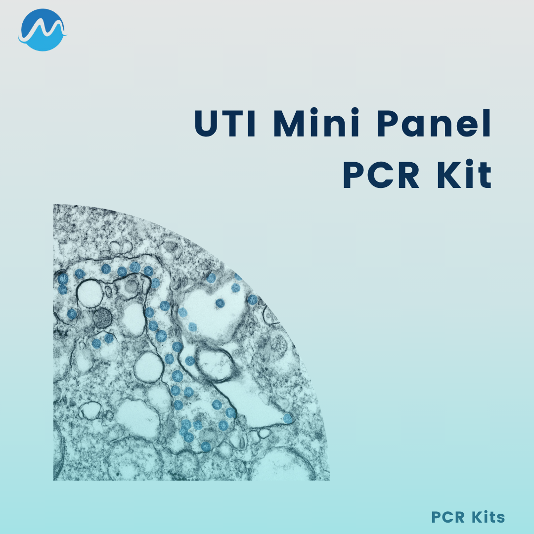 MBL UTI Mini Panel PCR - 100 Rxn/ Kit
