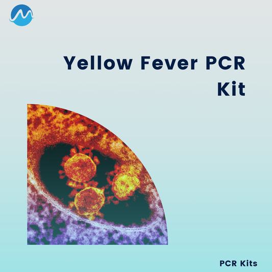 MBL Yellow Fever PCR Kit