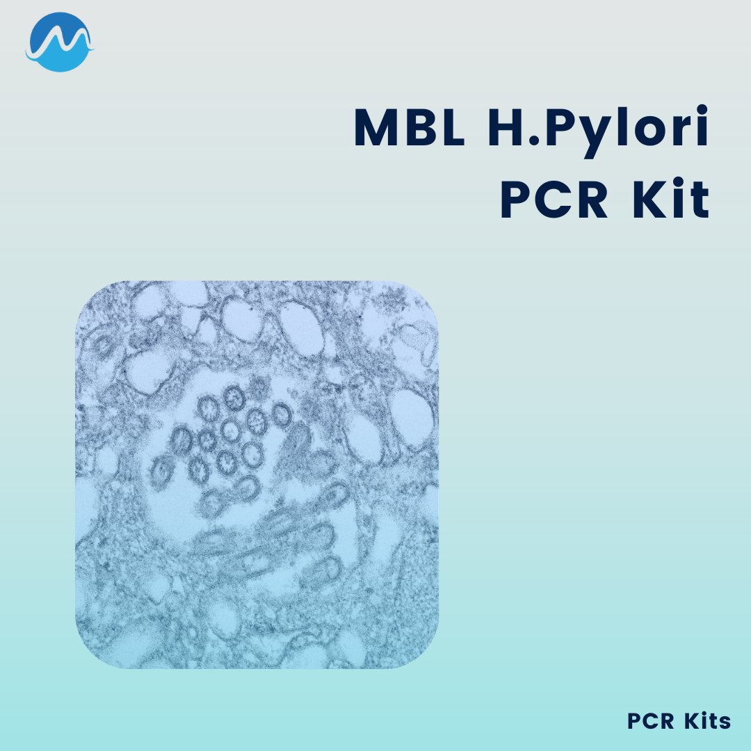 MBL H.pylori Panel PCR Kit
