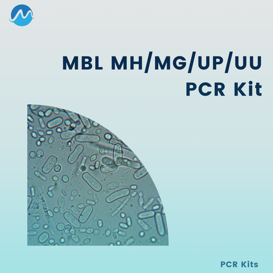 MBL MH/MG/UP/UU PCR Kit