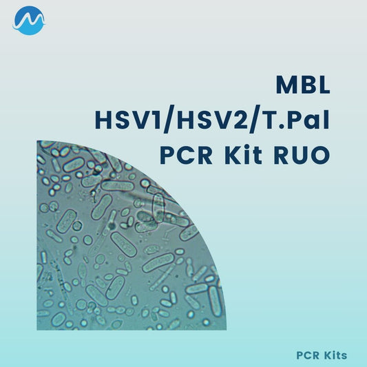 HSV1 HSV2 TPal PCR kit RUO