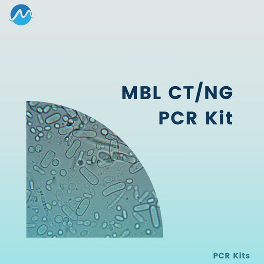 CT NG PCR kit