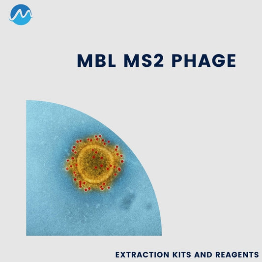 MS2 Phage kit