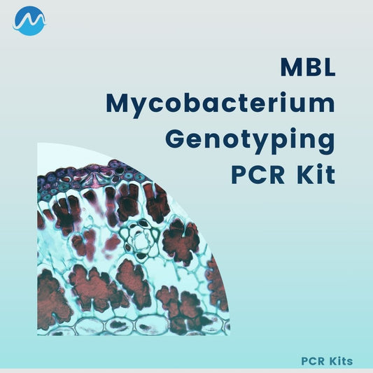 Mycobacterium Genotyping PCR kit